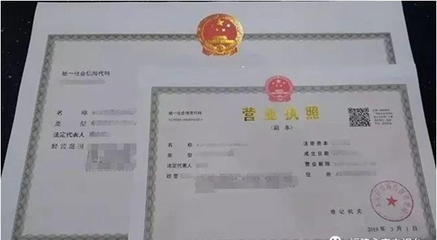 內(nèi)資注冊